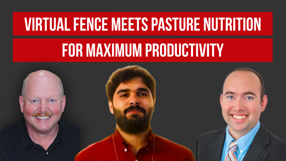 ▶️ Watch: Virtual Fence Meets Pasture Nutrition for Maximum Productivity