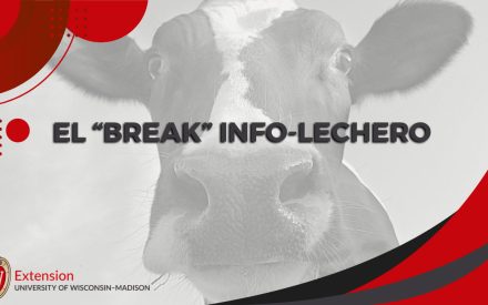 Estrés Térmico en Terneros Lecheros: Avances Actuales y Estrategias de Prevención