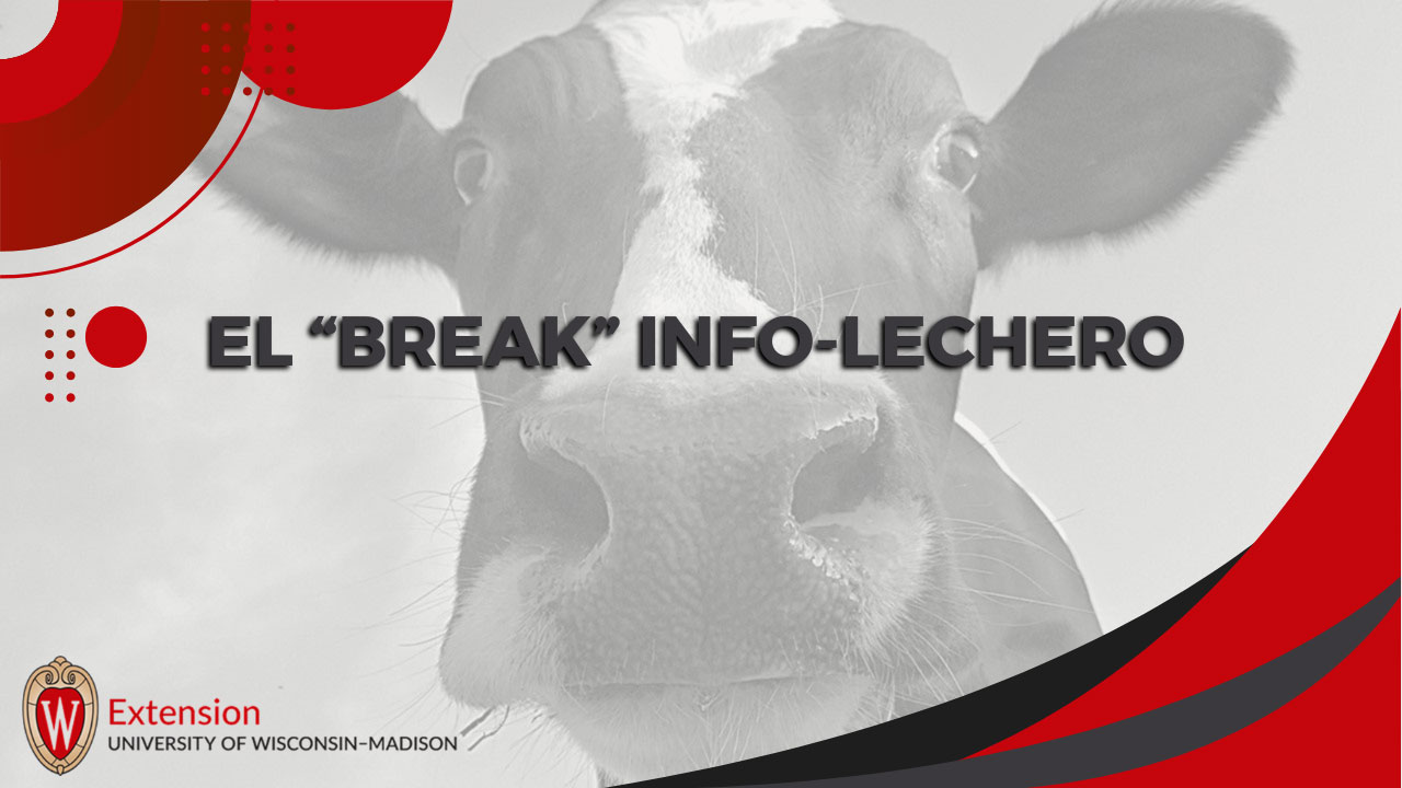 Estrés Térmico en Terneros Lecheros: Avances Actuales y Estrategias de Prevención