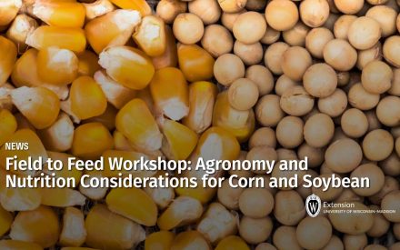 Field to Feed Workshop: Agronomy and Nutrition Considerations for Corn and Soybean