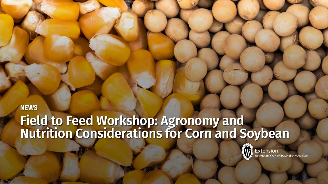 News article titled "Field to Feed Workshop: Agronomy and Nutrition Considerations for Corn and Soybean," UW–Madison Extension.