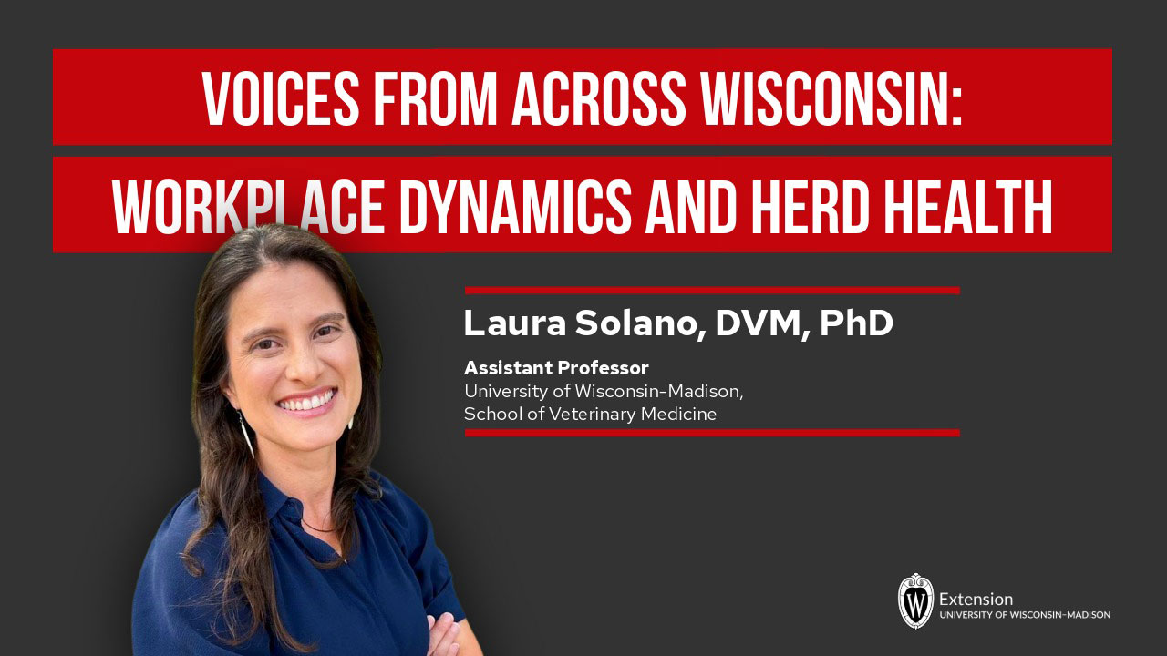 Promotional slide for "Voices From Across Wisconsin: Workplace Dynamics and Herd Health" featuring Laura Solano, DVM, PhD.