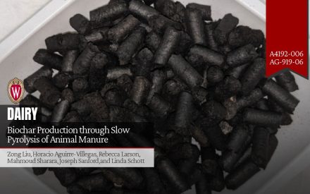 Biochar Production through Slow Pyrolysis of Animal Manure