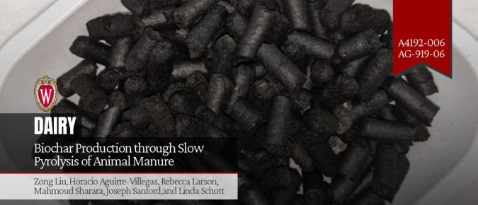 Biochar Production through Slow Pyrolysis of Animal Manure