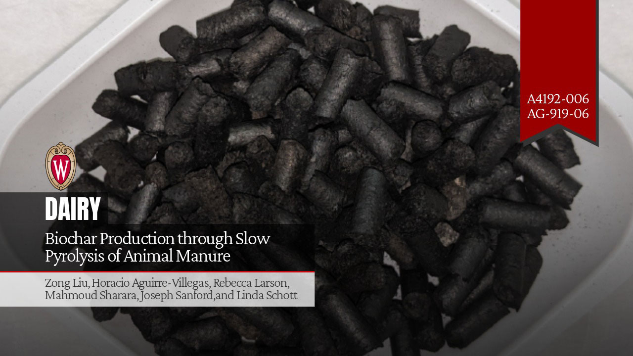 Cover image for "Biochar Production through Slow Pyrolysis of Animal Manure" by Zong Liu et al., showing black biochar pellets in a white bowl.