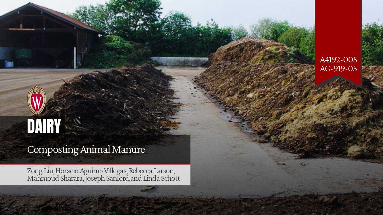 University of Wisconsin Dairy publication cover: "Composting Animal Manure" by Zong Liu et al. Pub. nos. A4192-005, AG-919-05.