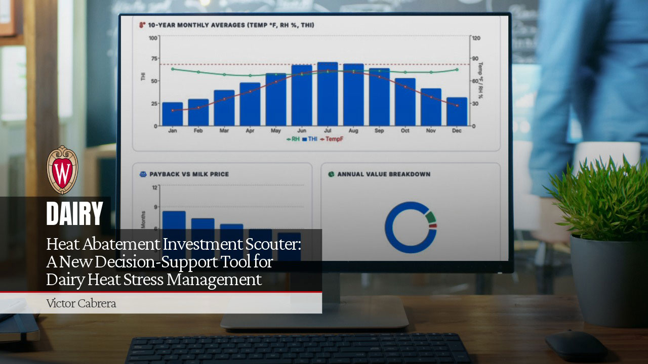 UW-Madison Dairy article header by Victor Cabrera displaying the "Heat Abatement Investment Scouter: A New Decision-Support Tool for Dairy Heat Stress Management" tool on a desktop monitor.