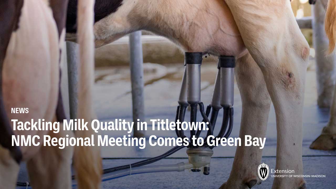 Dairy cow being milked by mechanical milking equipment in a parlor. "Tackling Milk Quality in Titletown: NMC Regional Meeting Comes to Green Bay."