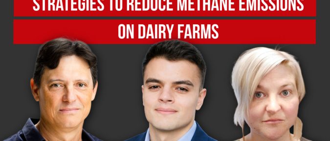 Strategies to Reduce Methane Emissions on Dairy Farms [Video] ▶️