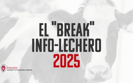 ▶️ Watch: Intensive Feeding Programs: How to Transform a Calf Into a High-Production Cow
