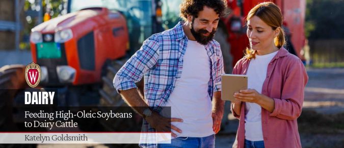 Feeding High-Oleic Soybeans to Dairy Cattle