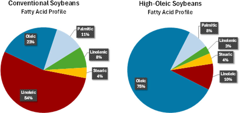 Two pie charts comparing fatty acid profiles of conventional vs. high-oleic soybeans, showing oleic acid increases from 23% to 75%.