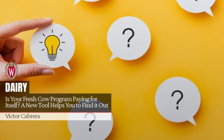 Is Your Fresh Cow Program Paying for Itself? A New Tool Helps You to Find it Out