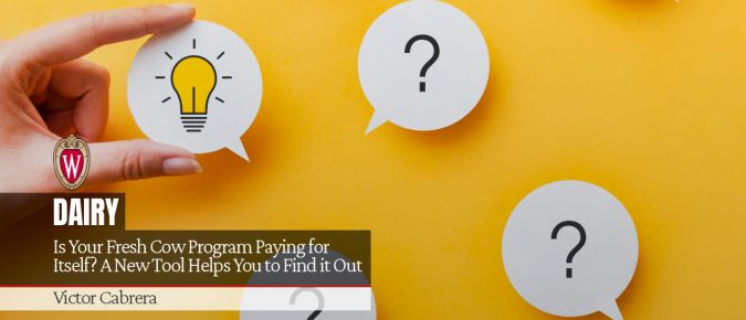 Is Your Fresh Cow Program Paying for Itself? A New Tool Helps You to Find it Out