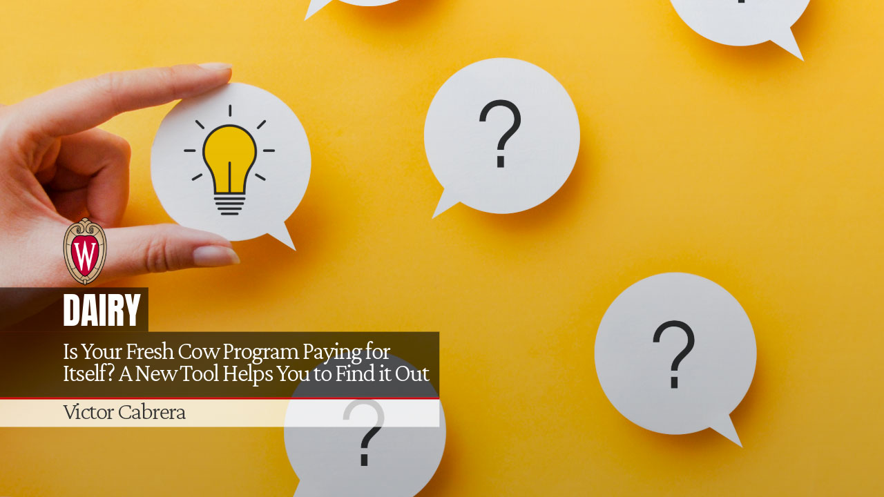 Is Your Fresh Cow Program Paying for Itself? A New Tool Helps You to Find it Out
