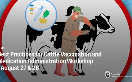Best Practices for Cattle Vaccination and Medication Administration Workshop – August 27 & 28