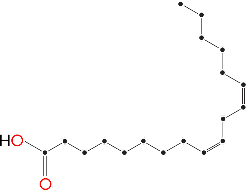 Skeletal chemical structure showing a long carbon chain fatty acid with a terminal carboxylic acid (COOH) group and two conjugated carbon-carbon double bonds.