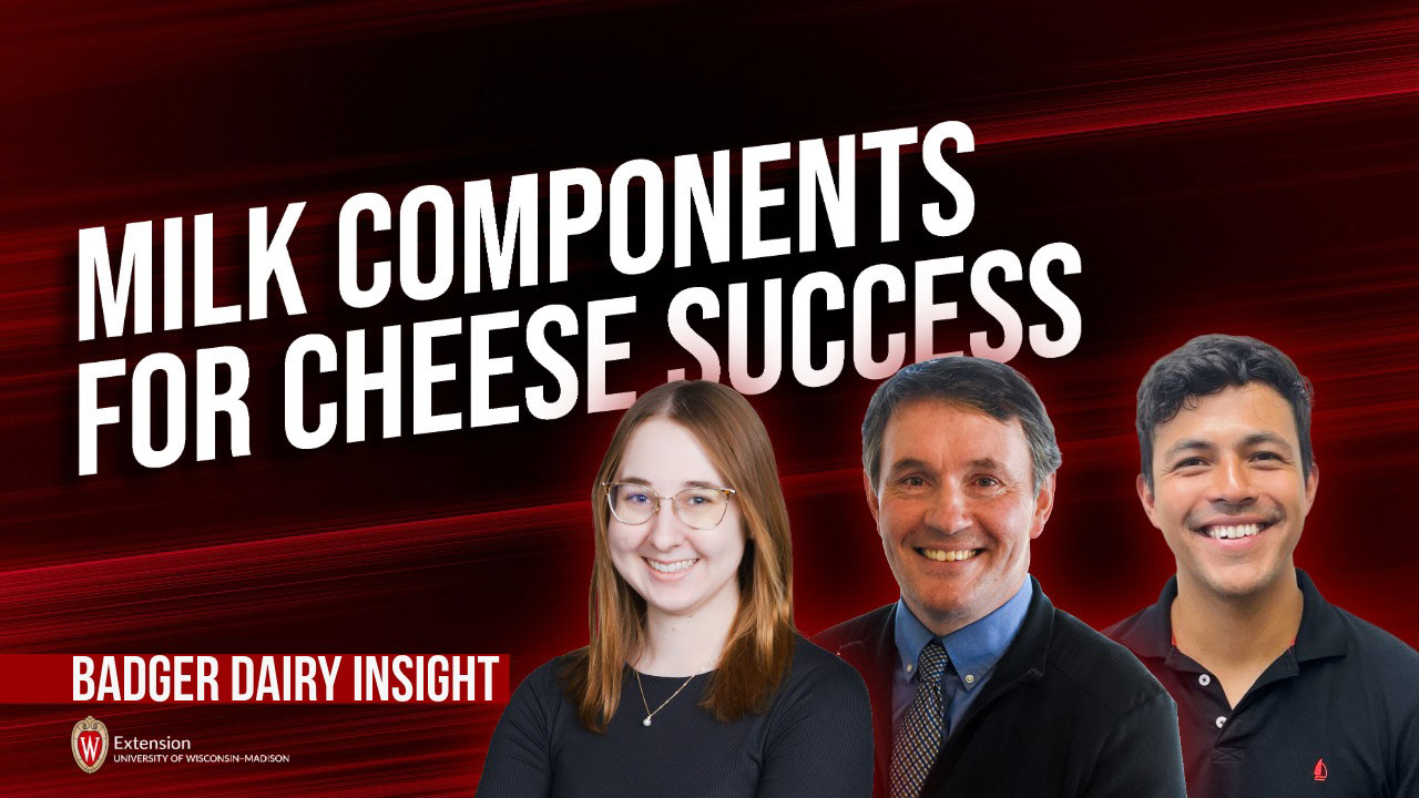 "Milk Components for Cheese Success," Badger Dairy Insight from UW-Madison Extension, featuring three presenters.