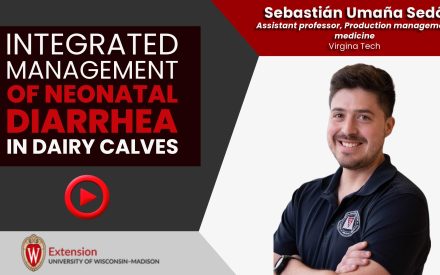 Integrated Management of Neonatal Diarrhea in Dairy Calves [Video] ▶️