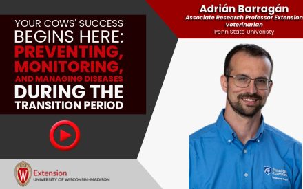 Preventing, Monitoring, and Managing Diseases During the Transition Period [Video] ▶️