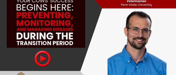 Preventing, Monitoring, and Managing Diseases During the Transition Period [Video] ▶️