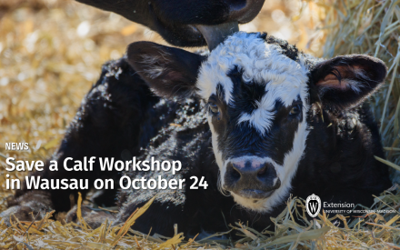 Save a Calf Workshop in Wausau on October 24
