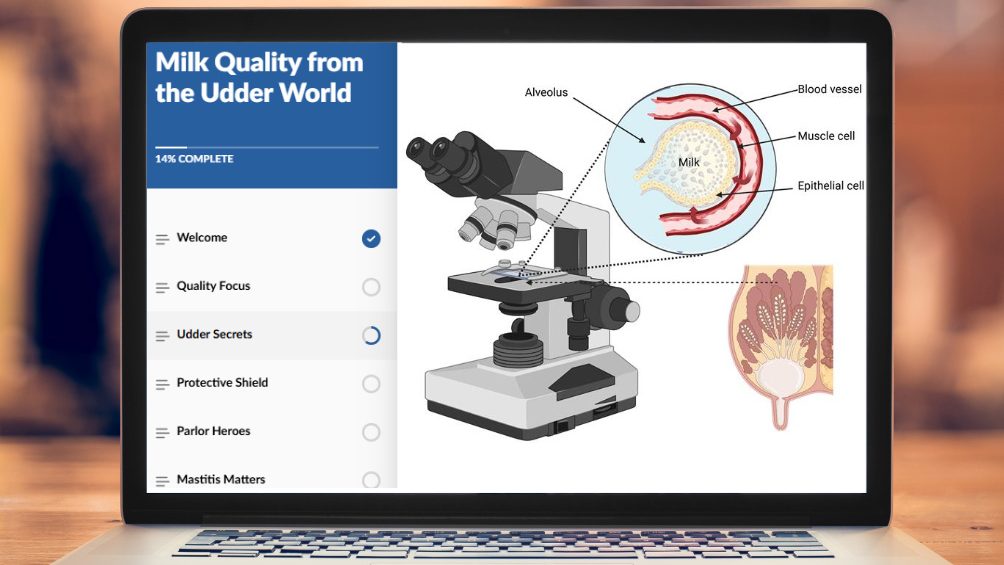 Online course module on a laptop screen titled "Milk Quality from the Udder World" displaying udder anatomy diagrams.