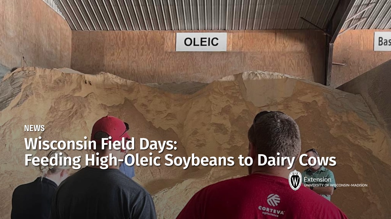Banner for "Wisconsin Field Days: Feeding High-Oleic Soybeans to Dairy Cows" showing attendees viewing a large pile of soybeans labeled "Oleic."