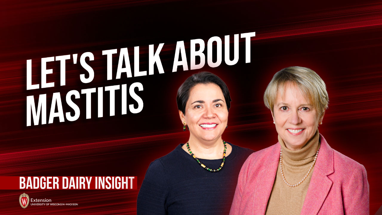 "Let's Talk About Mastitis" Badger Dairy Insight graphic featuring two UW-Madison Extension presenters on a red background.
