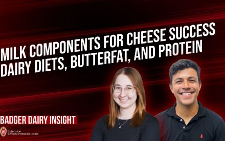 Milk Components for Cheese Success-Dairy Diets, Butterfat, and Protein [Video] ▶️