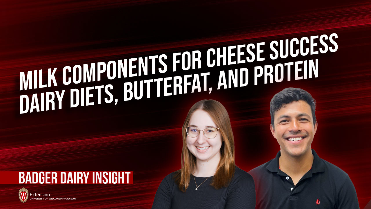 Milk Components for Cheese Success-Dairy Diets, Butterfat, and Protein [Video] ▶️