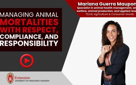 Managing Animal Mortalities with Respect, Compliance, and Responsibility [Video] ▶️