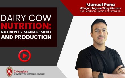 Dairy Cow Nutrition: Nutrients, Management, and Production [Video] ▶️