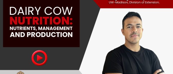 Dairy Cow Nutrition: Nutrients, Management, and Production [Video] ▶️