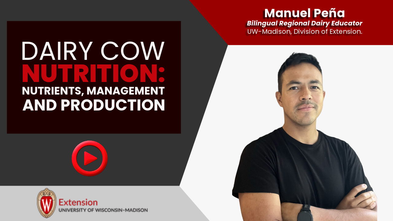 Dairy Cow Nutrition: Nutrients, Management, and Production [Video] ▶️