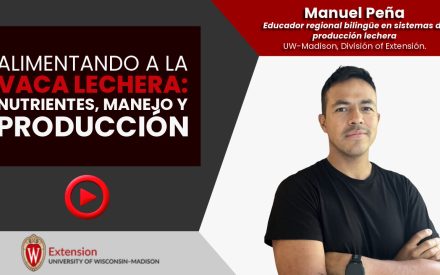 Alimentando a la Vaca Lechera: Nutrientes, Manejo y Producción [Video] ▶️