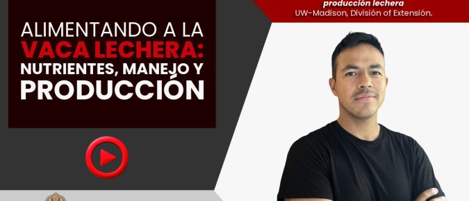 Alimentando a la Vaca Lechera: Nutrientes, Manejo y Producción [Video] ▶️