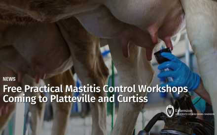 Free Practical Mastitis Control Workshops Coming to Platteville and Curtiss