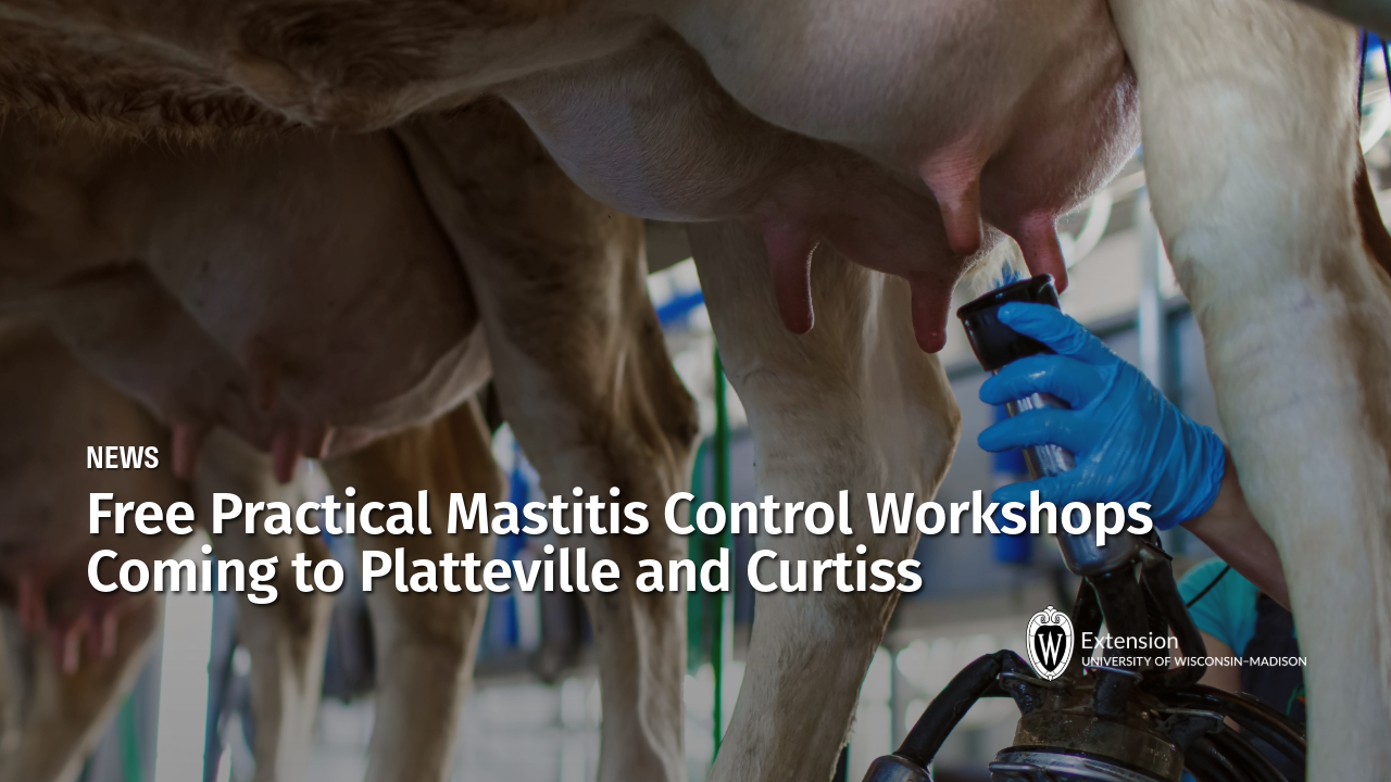 A gloved hand attaching a milking claw to a cow's udder in a dairy barn setting with "Free Practical Mastitis Control Workshops Coming to Platteville and Curtiss" text overlay.