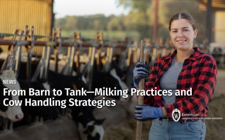 From Barn to Tank—Milking Practices and Cow Handling Strategies