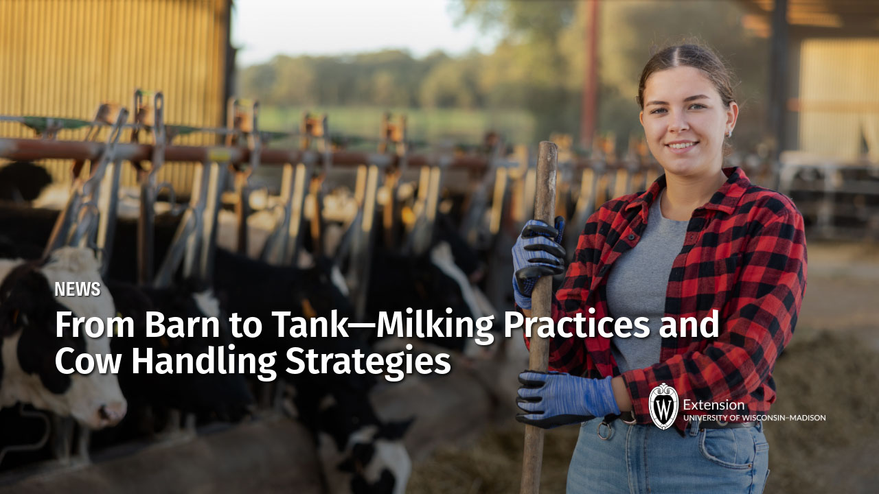 News banner titled "From Barn to Tank—Milking Practices and Cow Handling Strategies" featuring a farm worker in a barn.