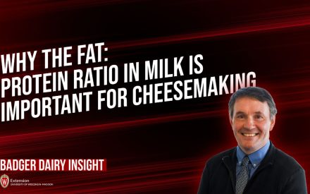 Why the Fat: Protein Ratio in Milk is Important for Cheesemaking [Video] ▶️