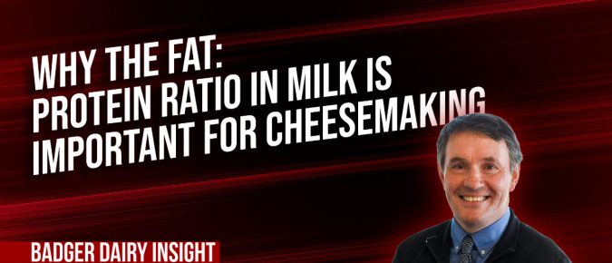 Why the Fat: Protein Ratio in Milk is Important for Cheesemaking [Video] ▶️