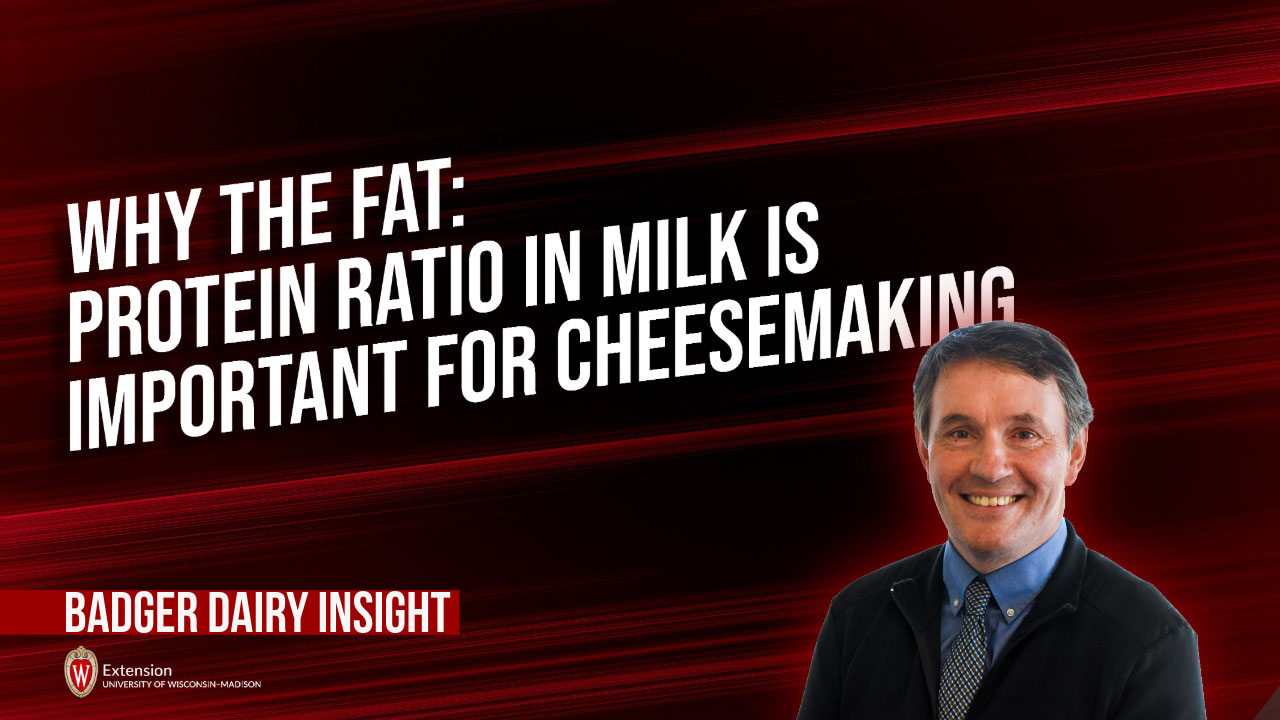 Why the Fat: Protein Ratio in Milk is Important for Cheesemaking [Video] ▶️
