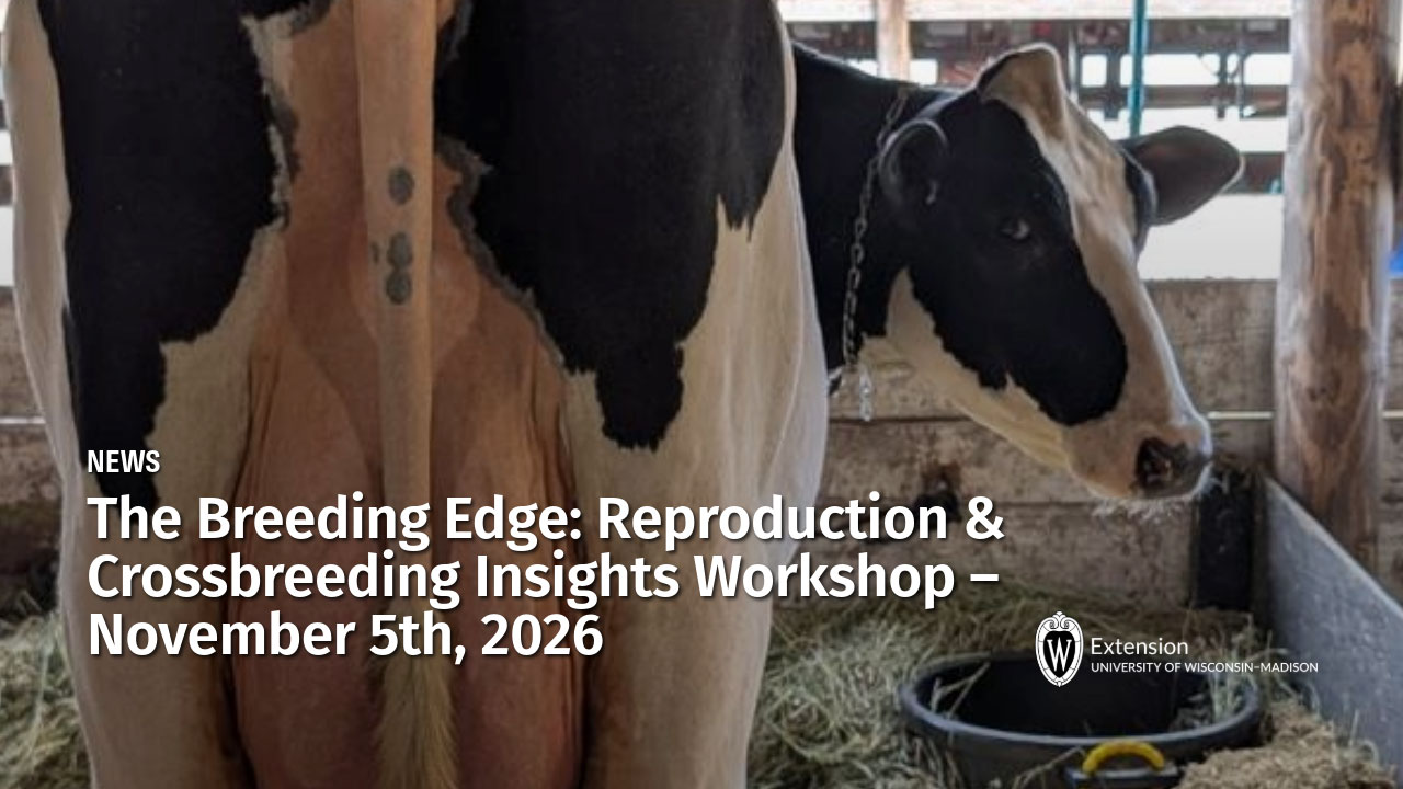 Article banner titled "The Breeding Edge: Reproduction & Crossbreeding Insights Workshop – November 5th, 2026" featuring a Holstein cow in a barn.